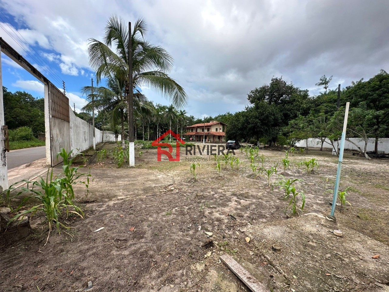 Terreno à venda, 12000m² - Foto 6