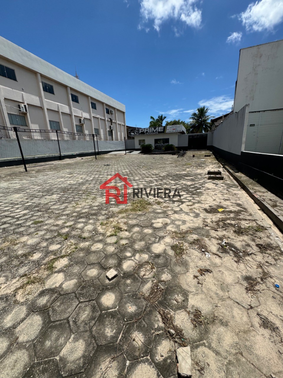 Depósito-Galpão-Armazém para alugar, 1600m² - Foto 14