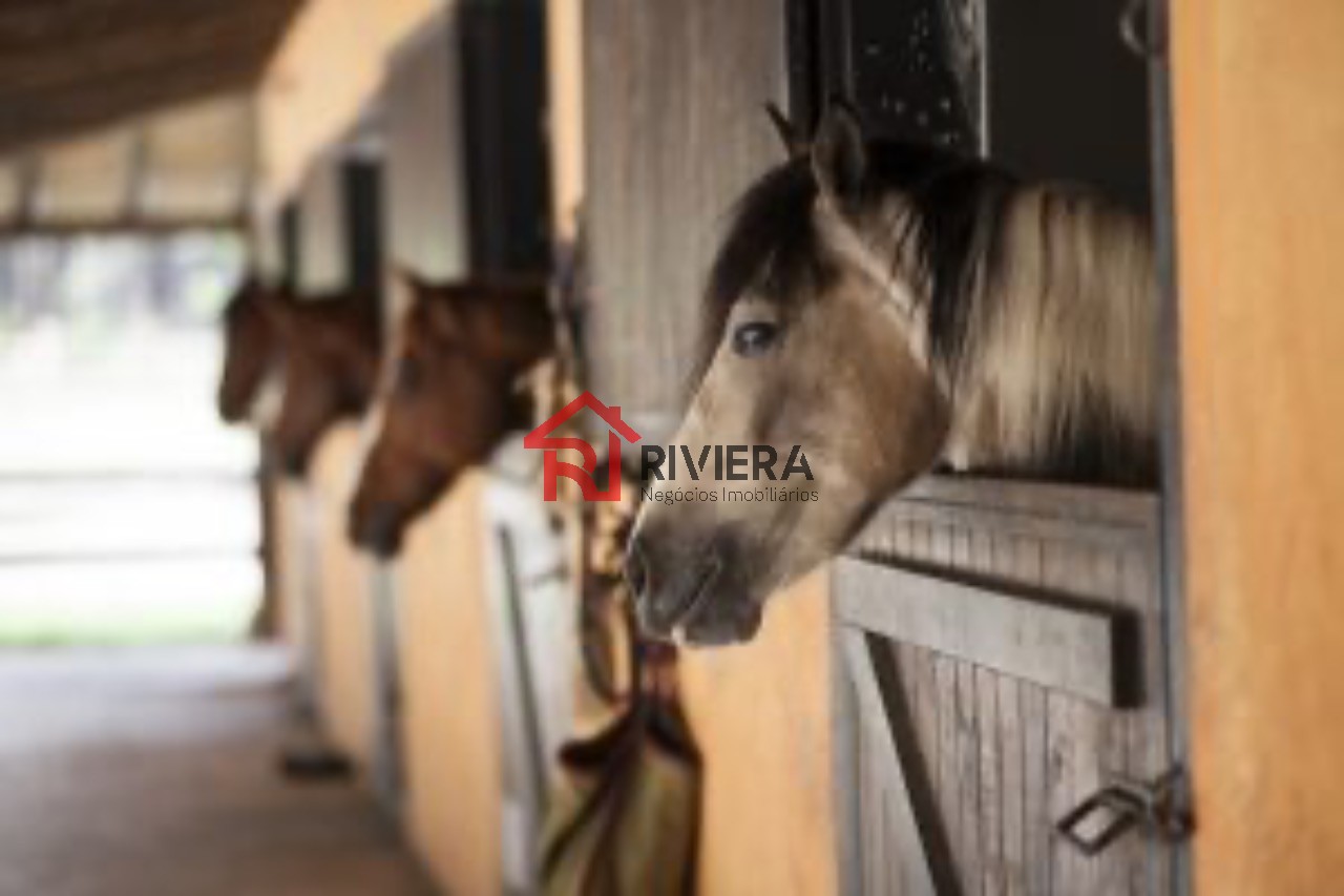 Fazenda à venda, 7523m² - Foto 10