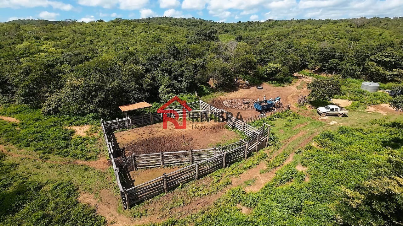 Fazenda à venda - Foto 9