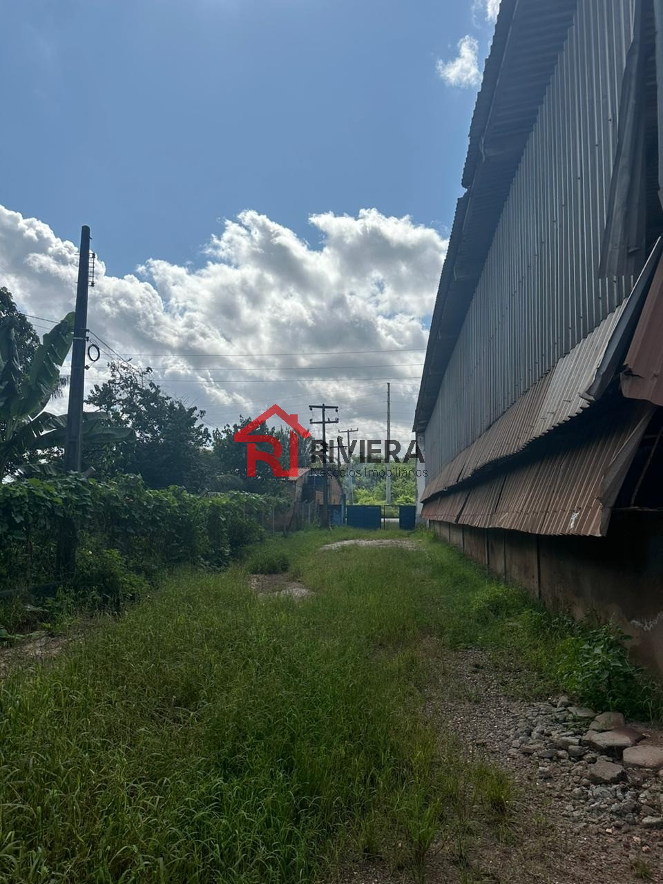 Depósito-Galpão-Armazém para alugar - Foto 12