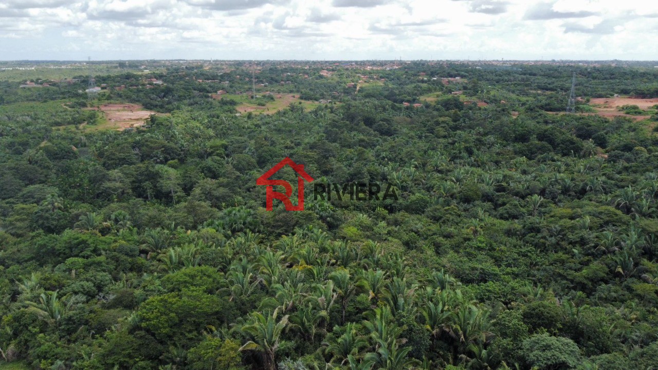 Fazenda à venda - Foto 4