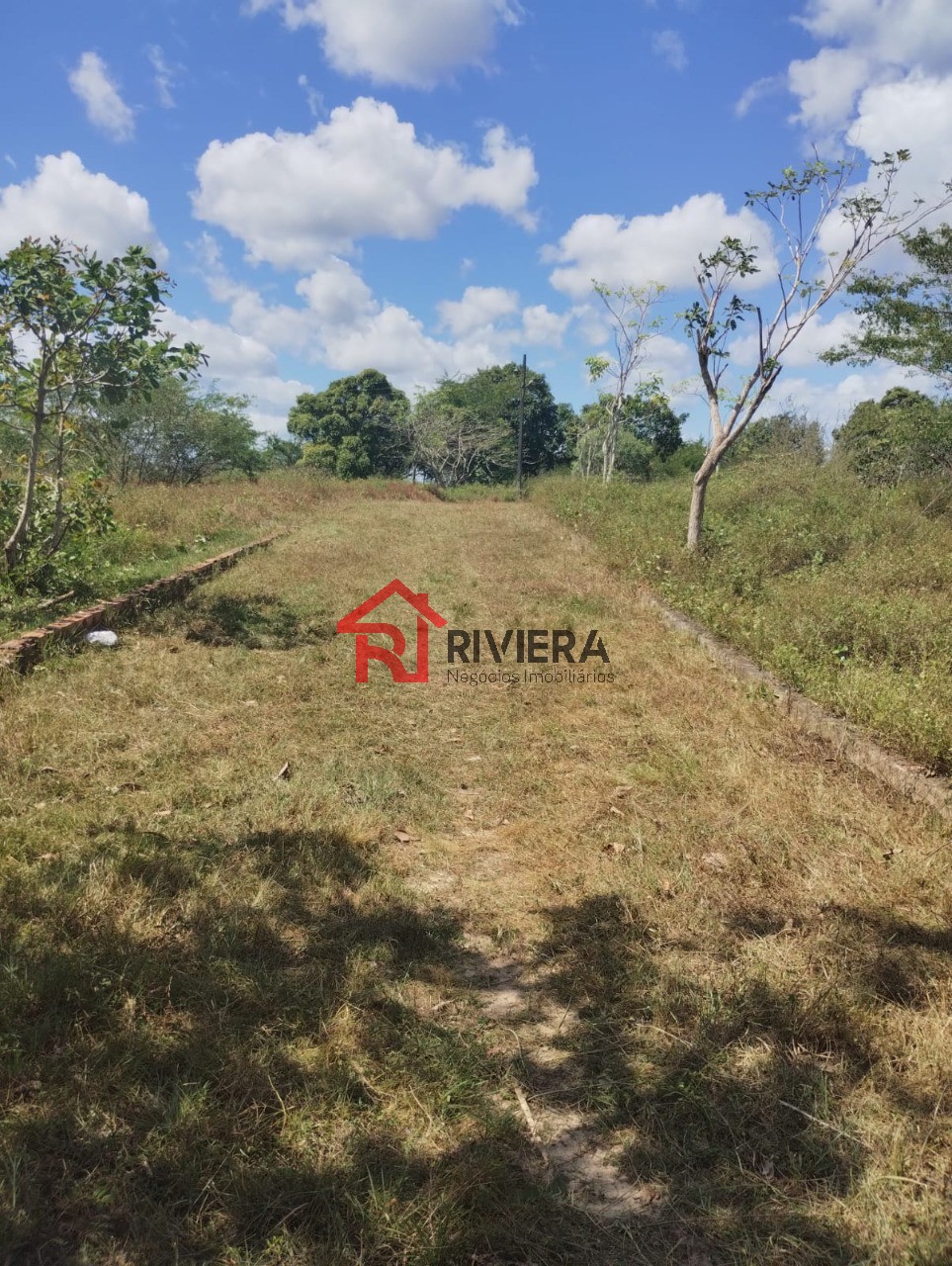 Fazenda à venda - Foto 6