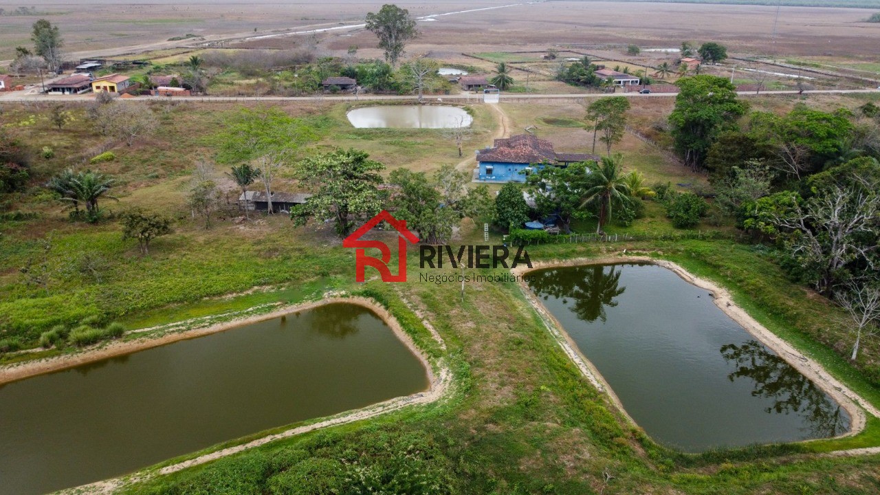 Haras e Área Rural Padrão à venda, 43000m² - Foto 10