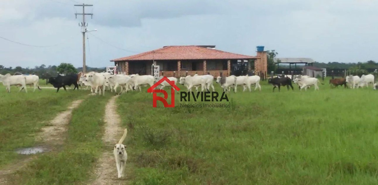 Fazenda à venda - Foto 9