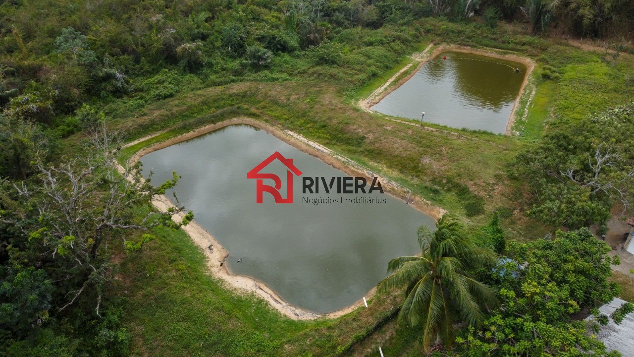 Fazenda à venda com 3 quartos, 43000m² - Foto 4