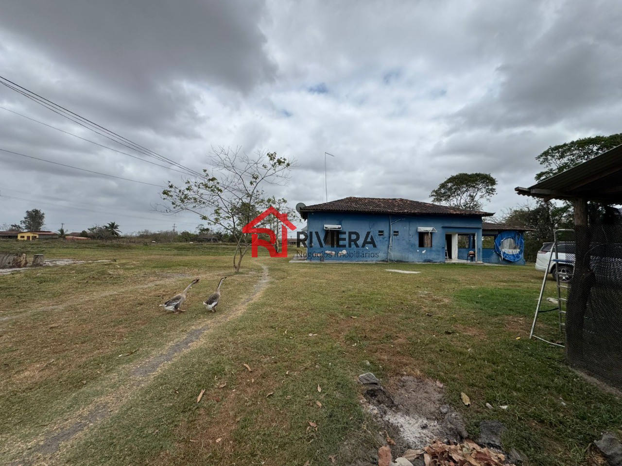 Fazenda à venda com 3 quartos, 43000m² - Foto 7