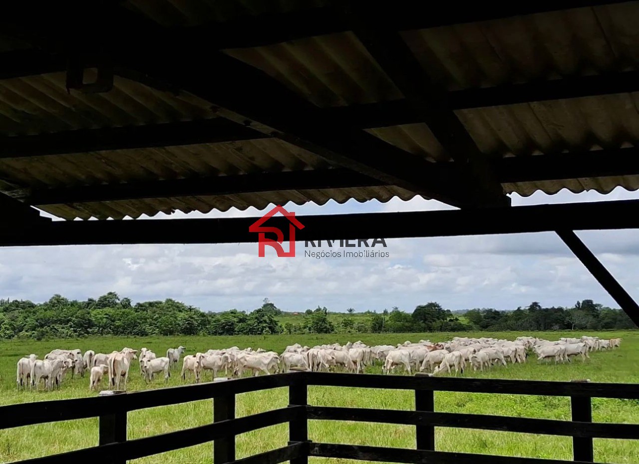 Fazenda à venda - Foto 1