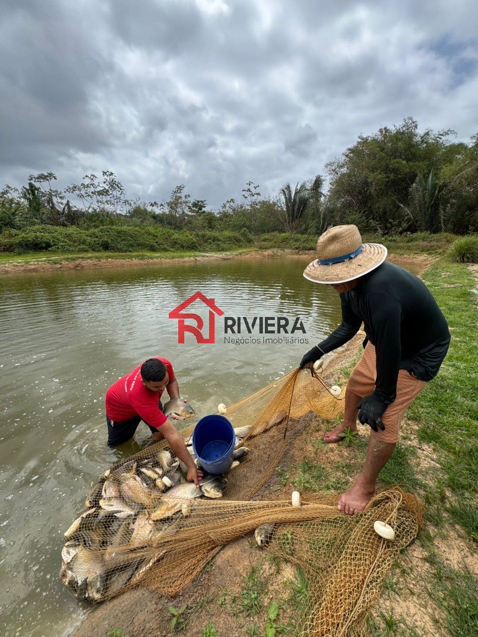 Fazenda à venda com 3 quartos, 43000m² - Foto 15