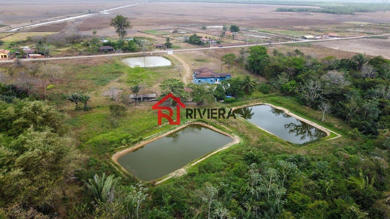 Haras e Área Rural Padrão à venda, 43000m² - Foto 11