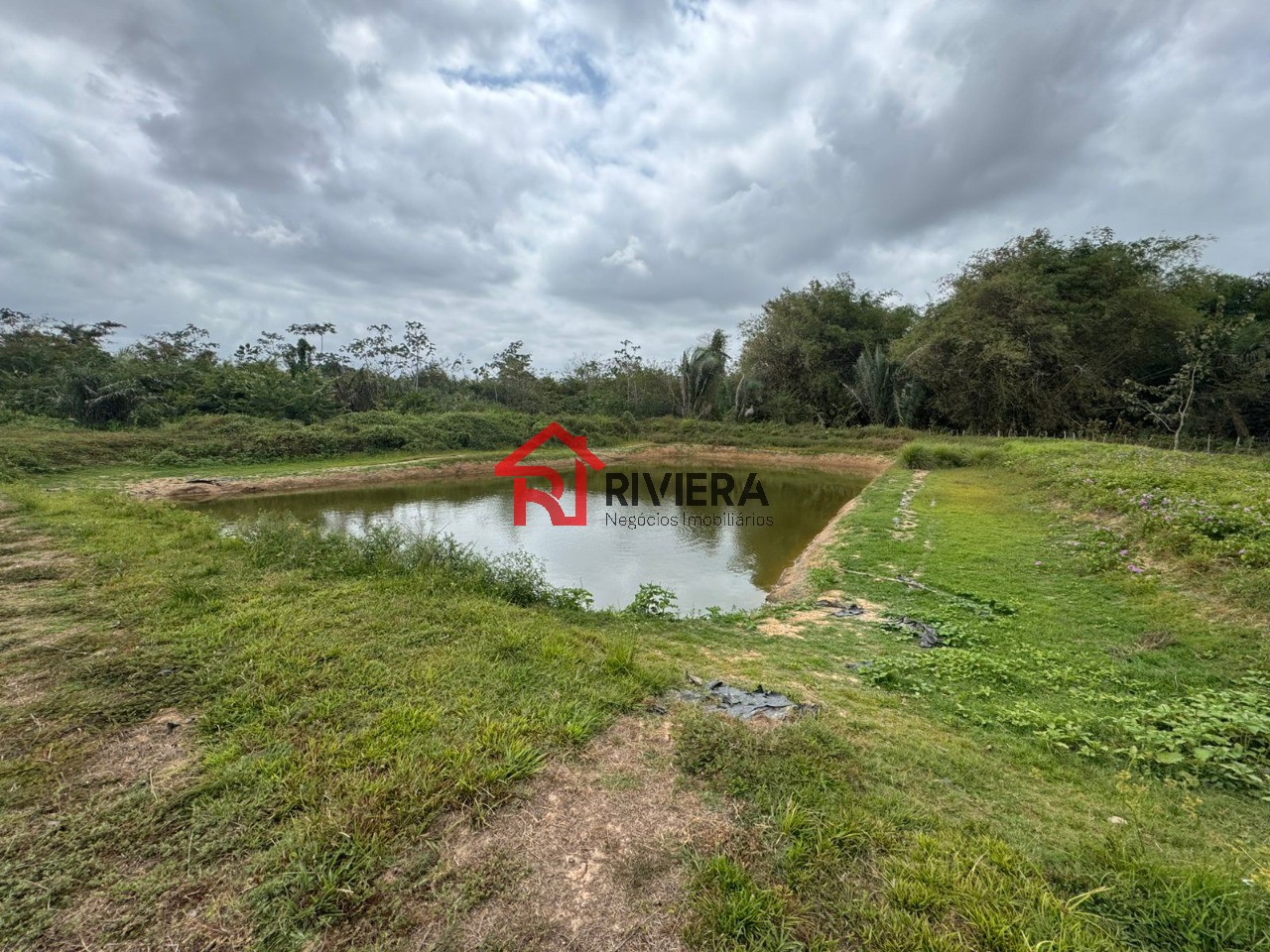 Fazenda à venda com 3 quartos, 43000m² - Foto 3