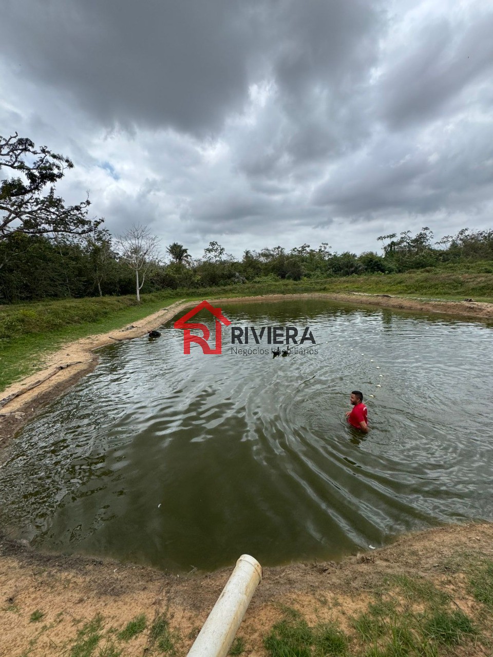 Fazenda à venda com 3 quartos, 43000m² - Foto 5