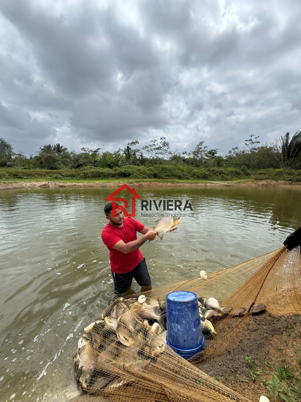 Fazenda à venda com 3 quartos, 43000m² - Foto 18