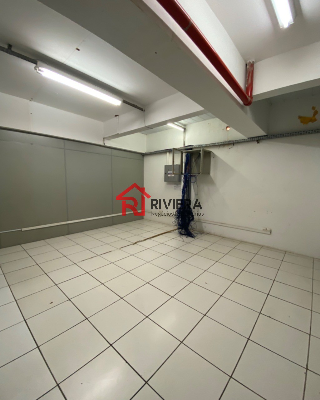 Prédio Inteiro, 3000 m² - Foto 13