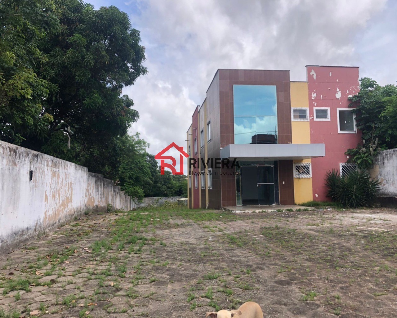 Prédio Inteiro, 6260 m² - Foto 2