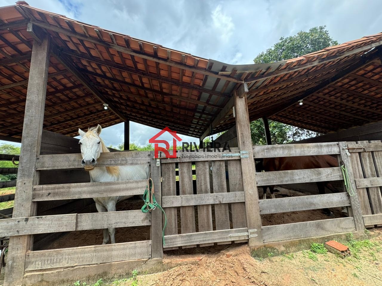 Haras e Área Rural Padrão à venda - Foto 3