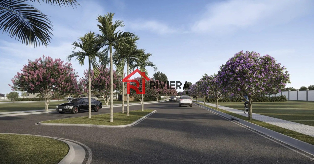 Terreno, 620 m² - Foto 7