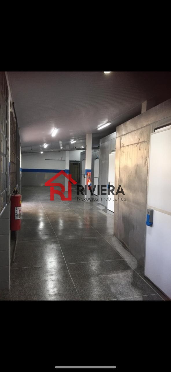 Loja-Salão para alugar com 8 quartos, 800m² - Foto 6