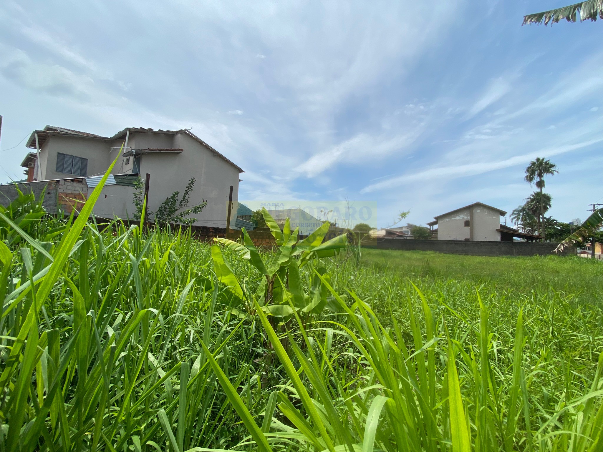 Casa à venda com 4 quartos, 360m² - Foto 2