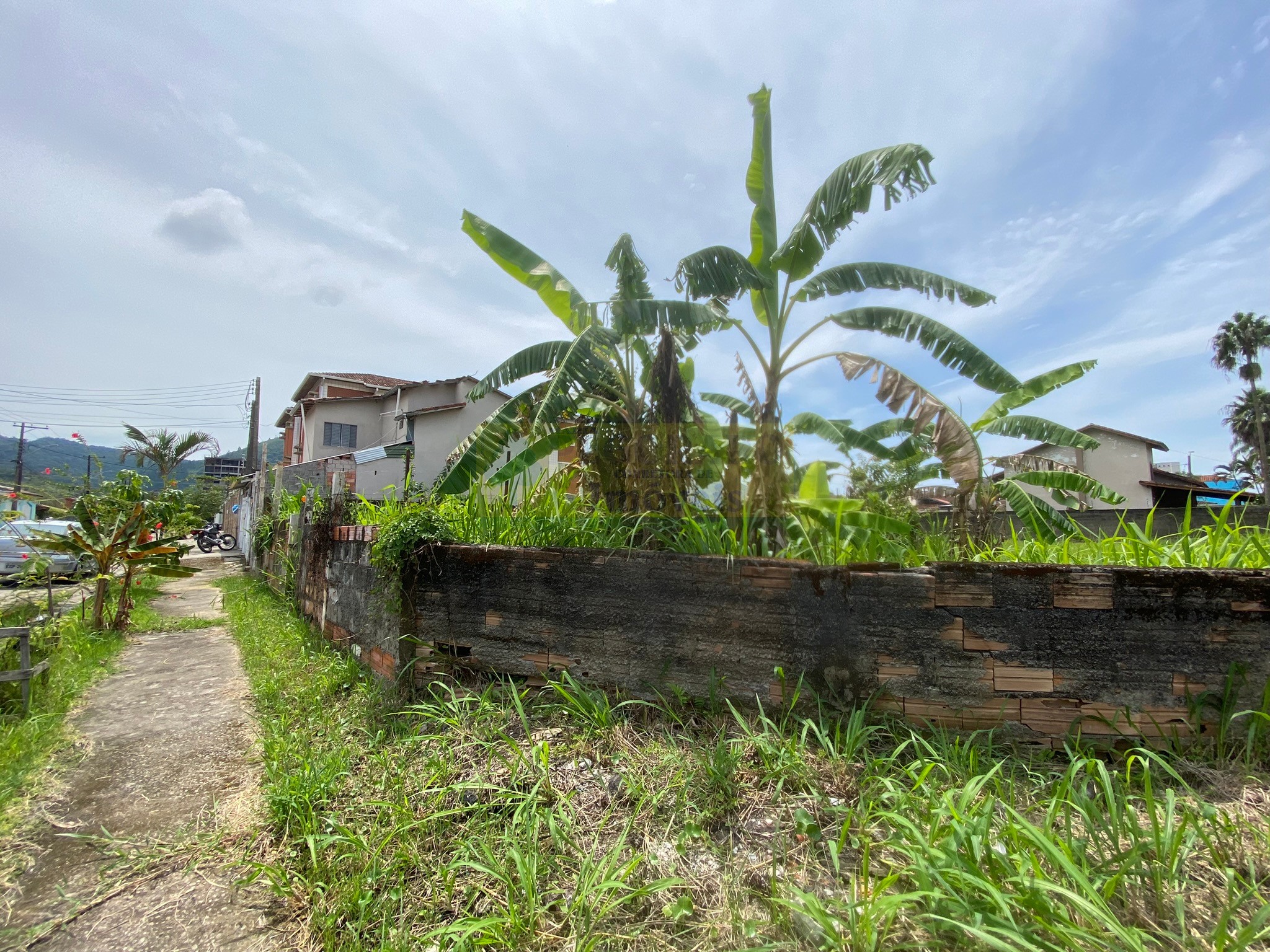 Casa à venda com 4 quartos, 360m² - Foto 3