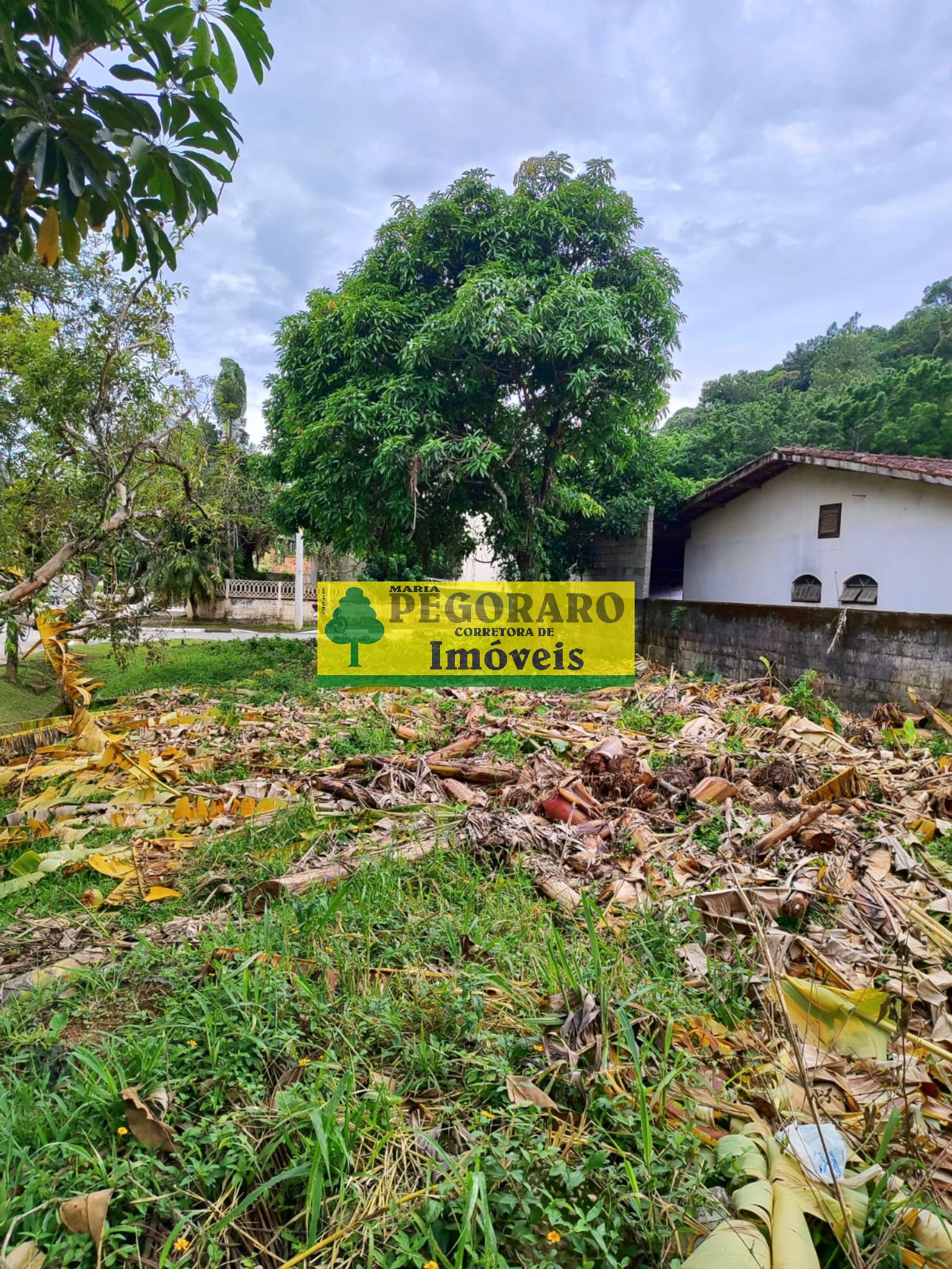 Terreno em Condomínio à Venda em Caraguatatuba-SP - Bairro Massaguaçu - 252,62 m² de Área