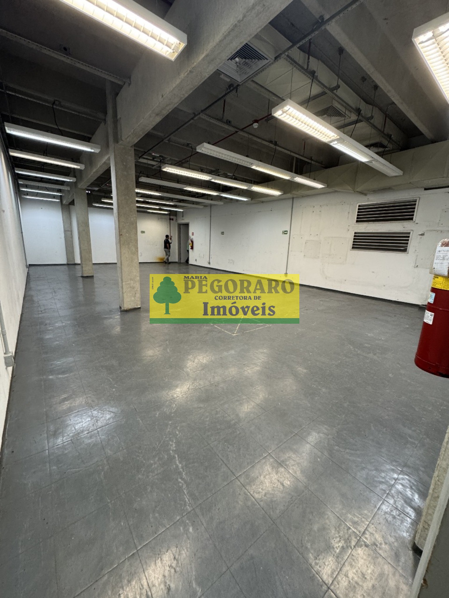 Depósito-Galpão, 2352 m² - Foto 6