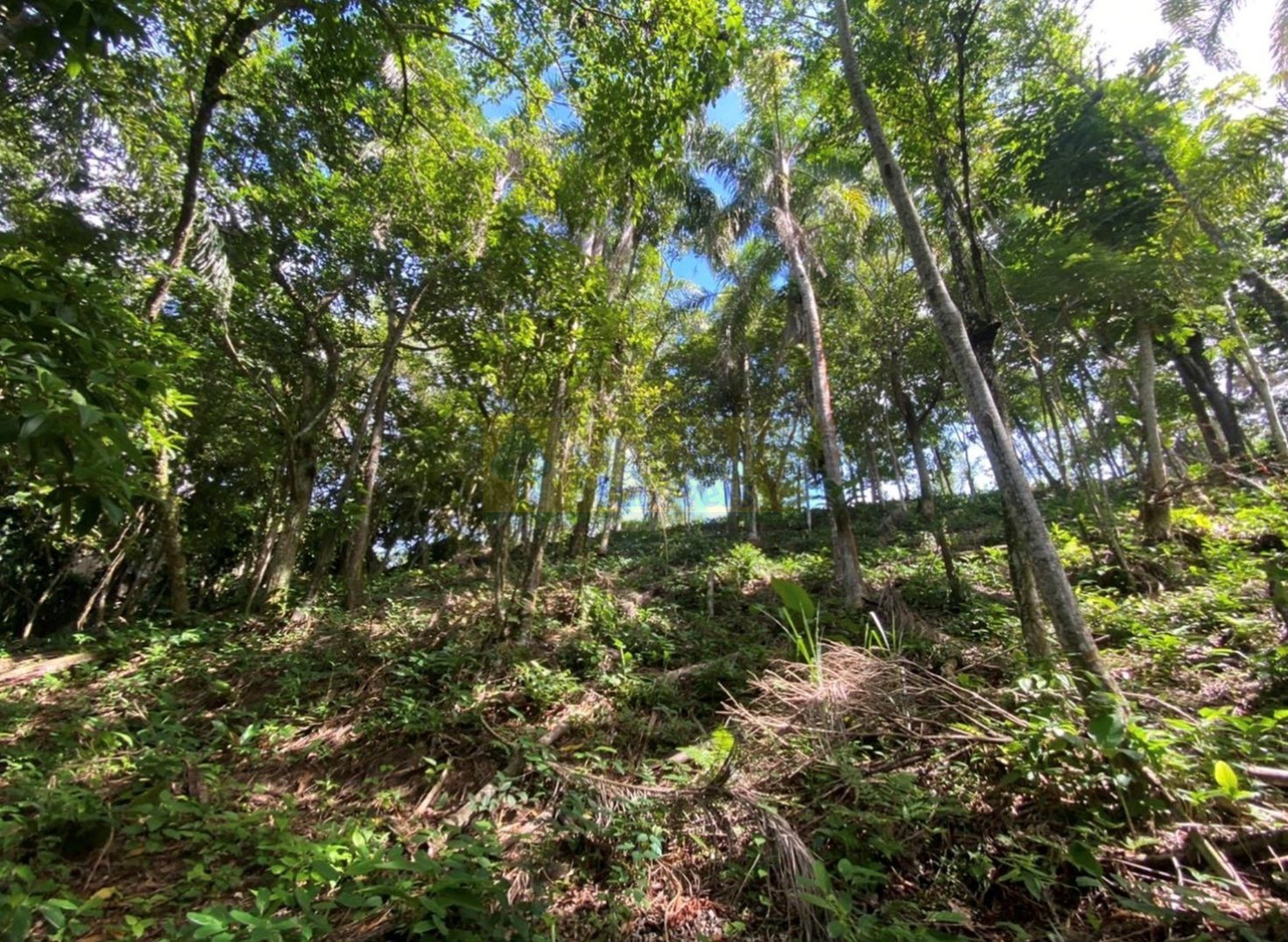 Terreno, 894 m² - Foto 17