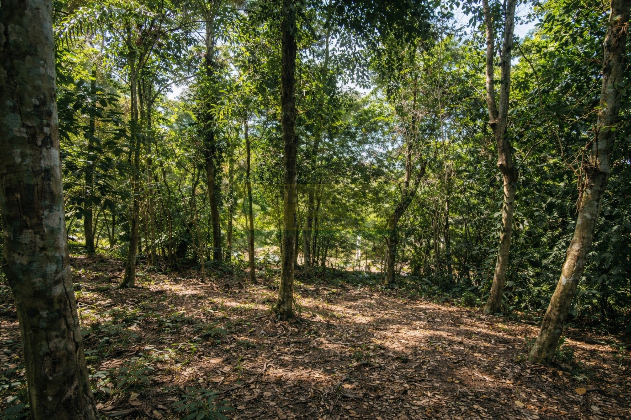 Terreno, 894 m² - Foto 16