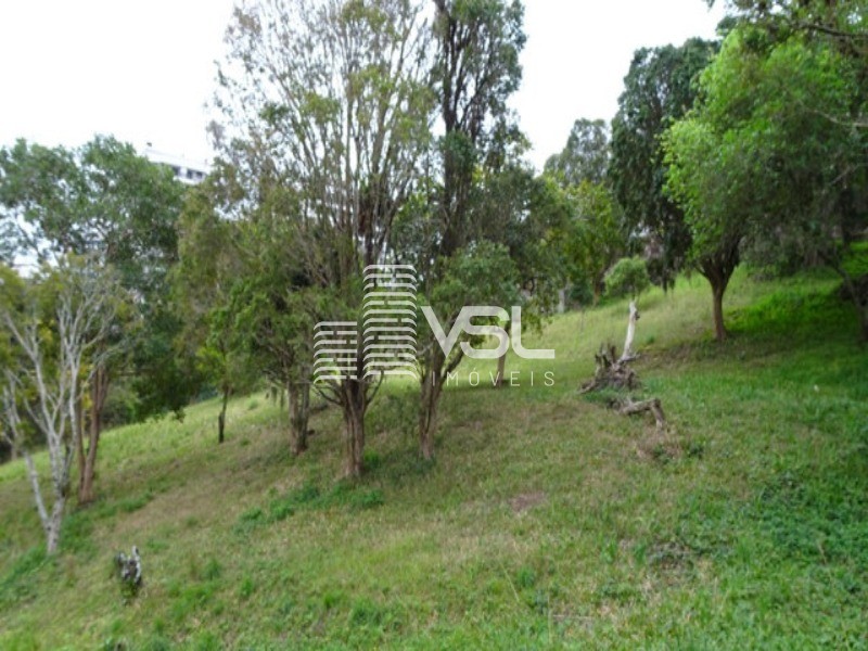 Terreno com 6.400 m², zoneamento ARP 2.5, itacorubi