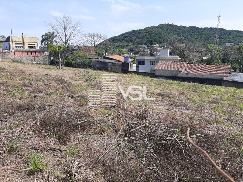 Terreno com 2.395 m², viabilidade AMS 3.5, bem localizado