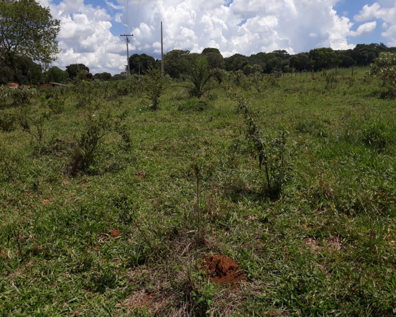 Sítio Com Boa Localização, Região De Malhadouro Patrocínio-Mg
