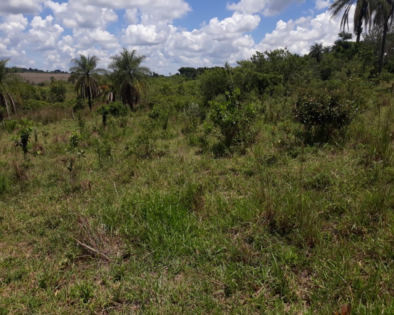 Sítio Com Boa Localização, Região De Malhadouro Patrocínio-Mg