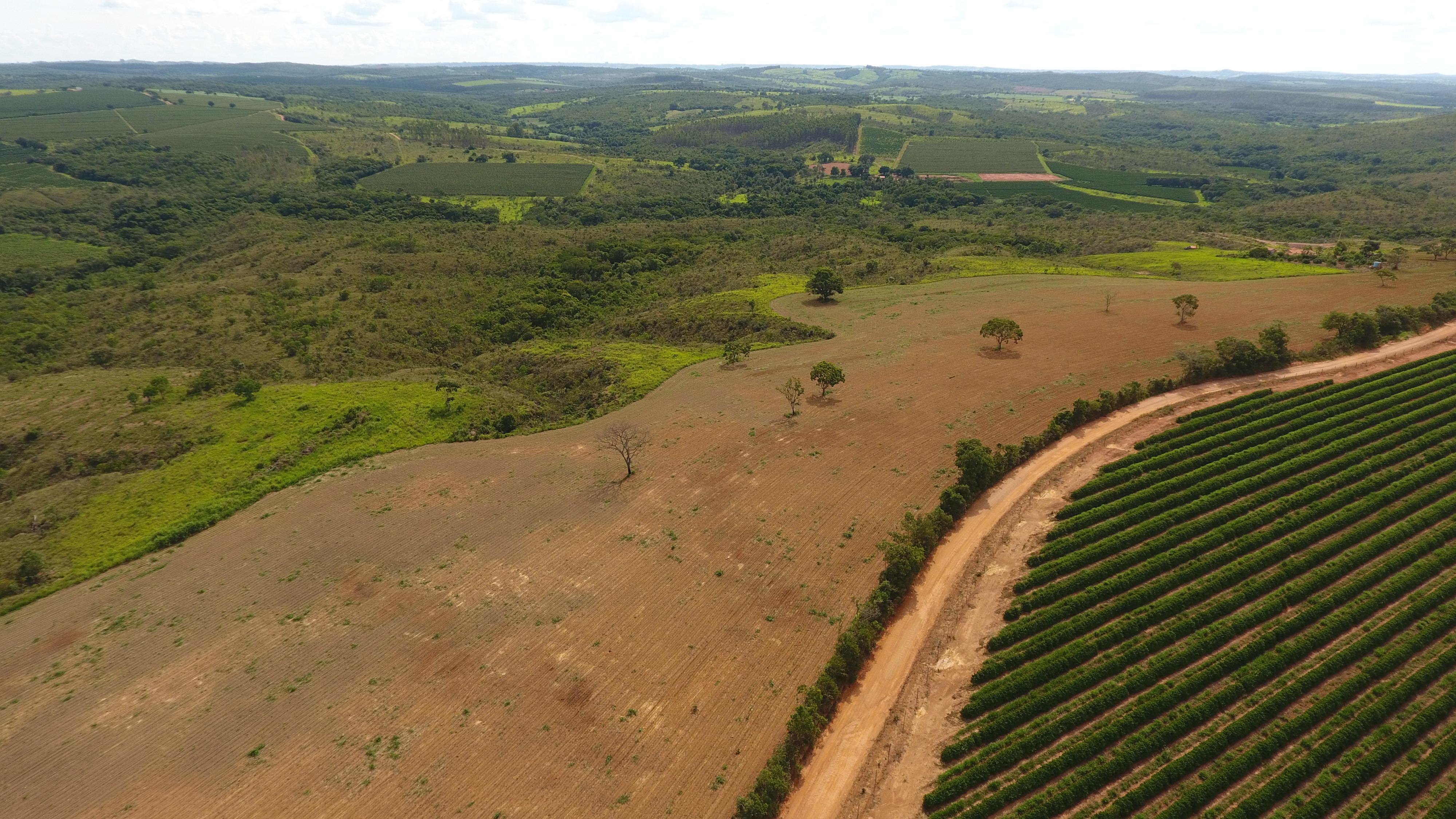 FAZENDA em SANTA ROSA DOS DOURADOS, COROMANDEL - FA00074