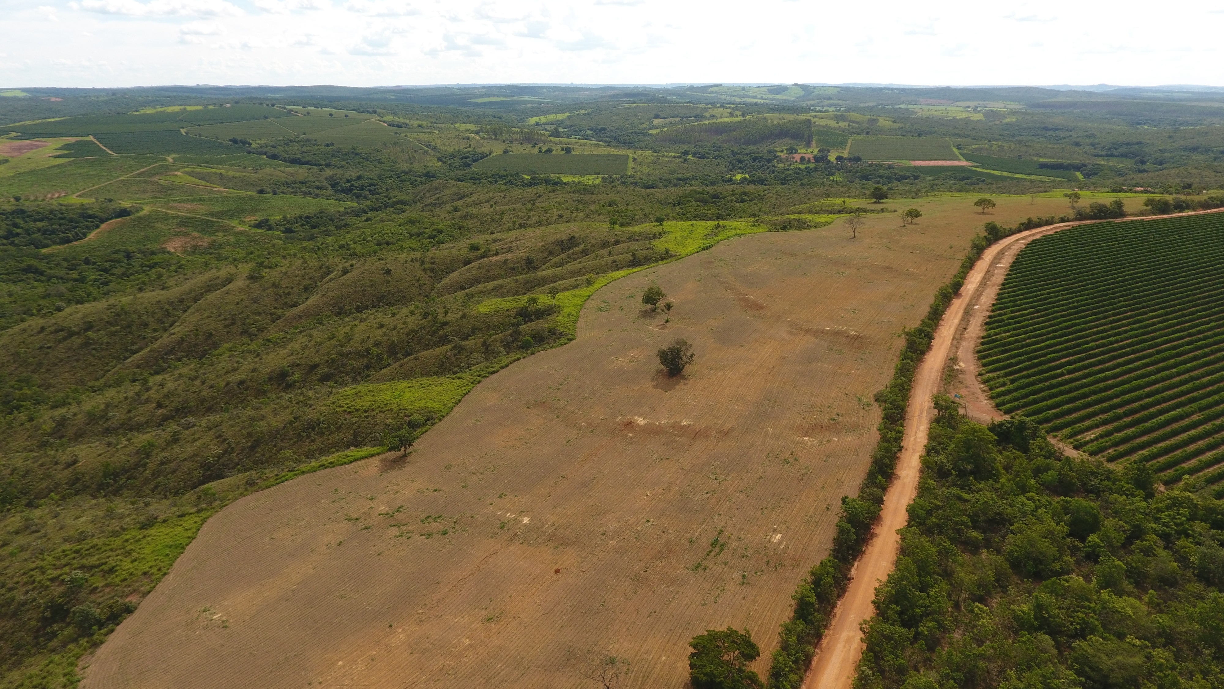 FAZENDA em SANTA ROSA DOS DOURADOS, COROMANDEL - FA00074