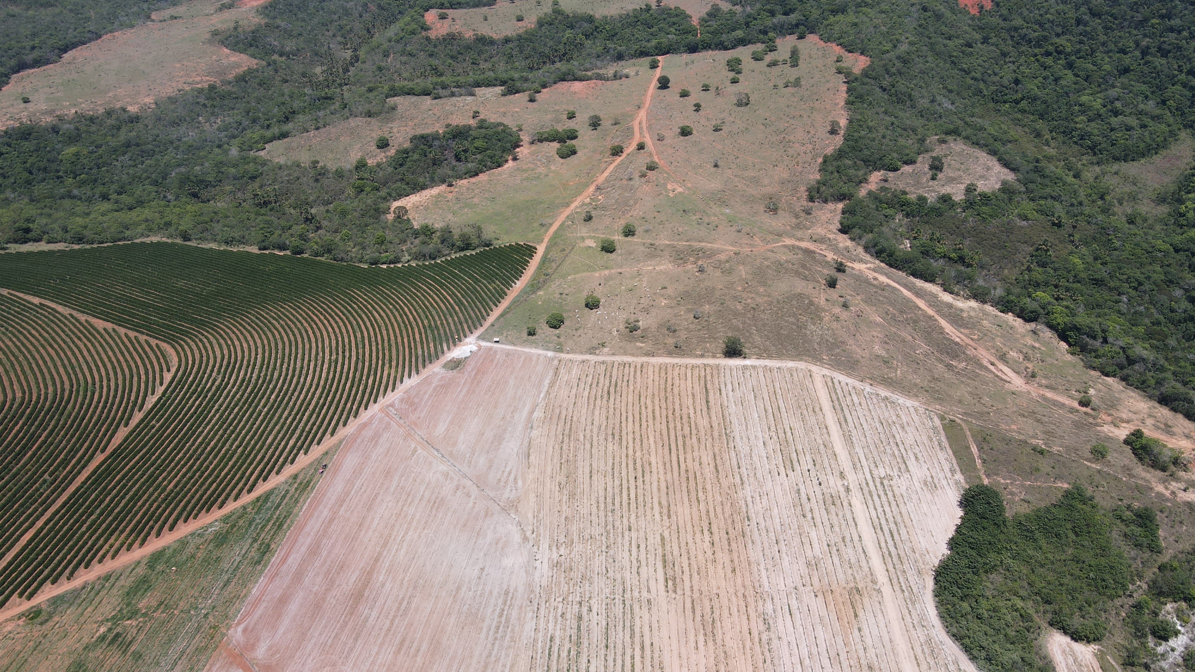 FAZENDA em PONTE FIRME, PRESIDENTE OLEGÁRIO - FA00119