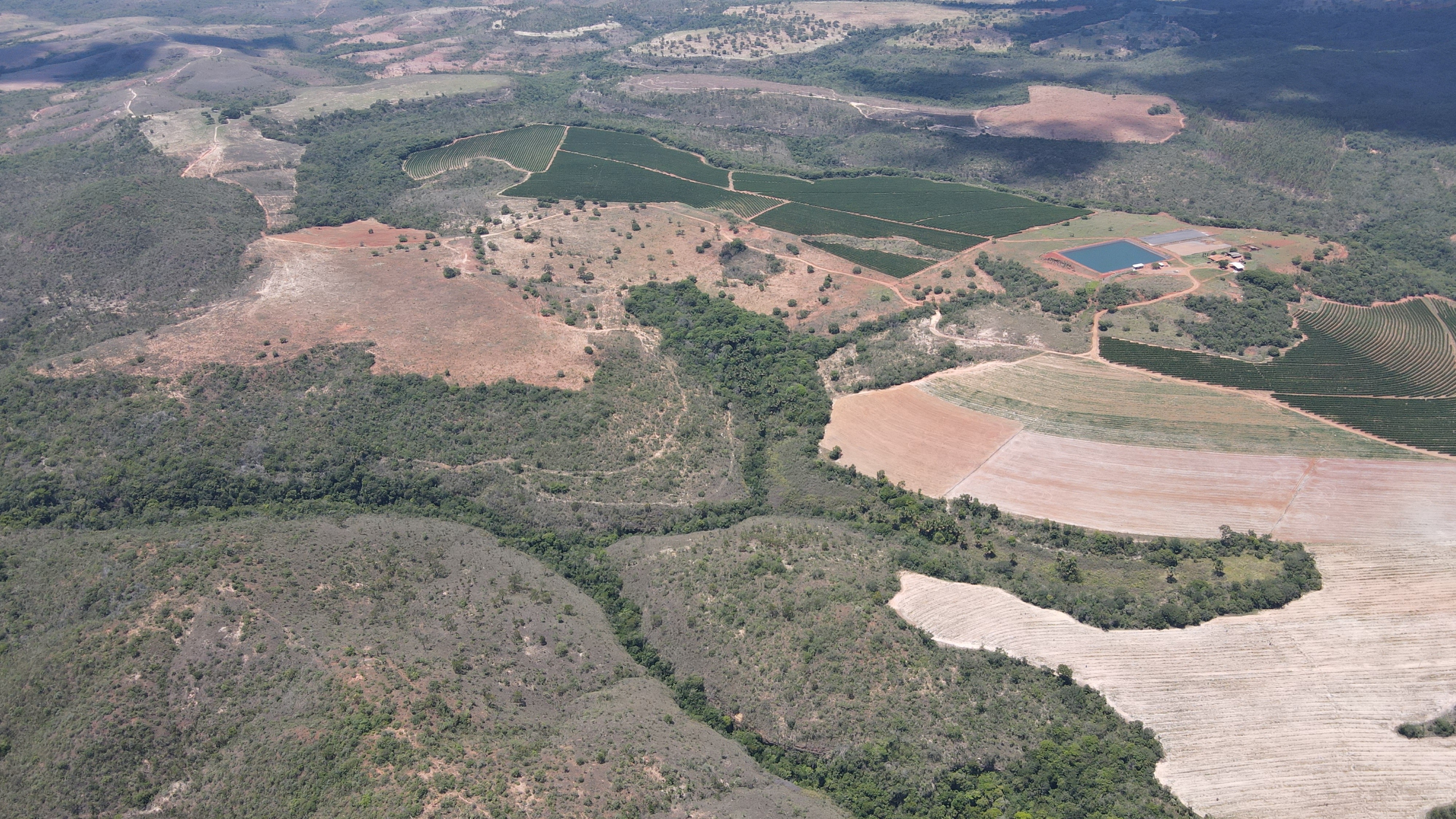 FAZENDA em PONTE FIRME, PRESIDENTE OLEGÁRIO - FA00119