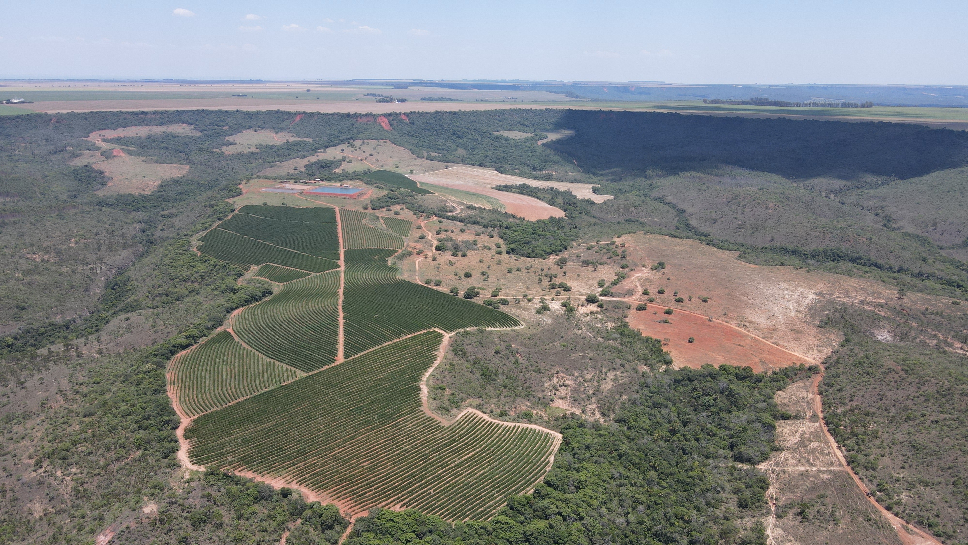 FAZENDA em PONTE FIRME, PRESIDENTE OLEGÁRIO - FA00119
