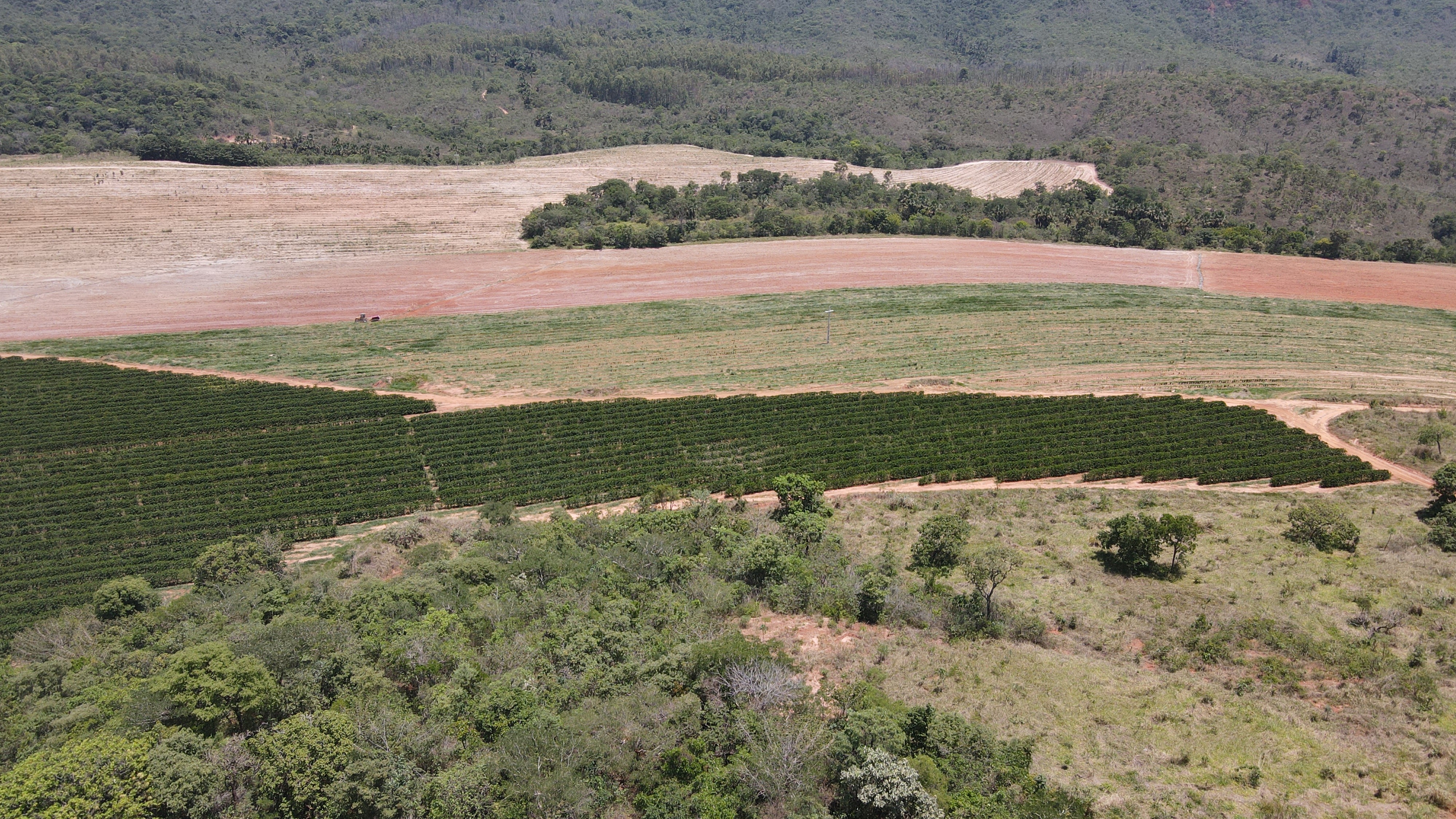 FAZENDA em PONTE FIRME, PRESIDENTE OLEGÁRIO - FA00119