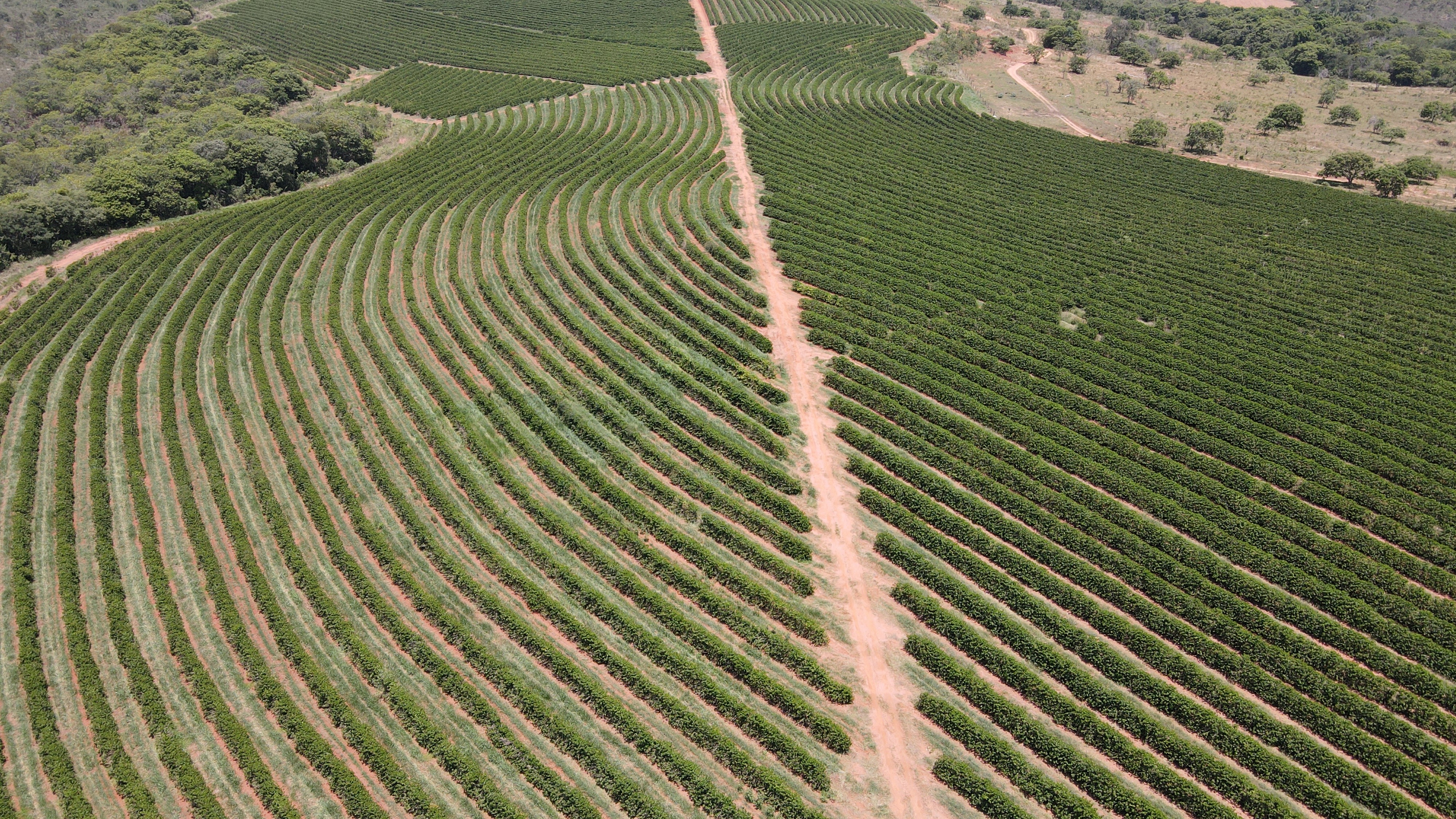 FAZENDA em PONTE FIRME, PRESIDENTE OLEGÁRIO - FA00119