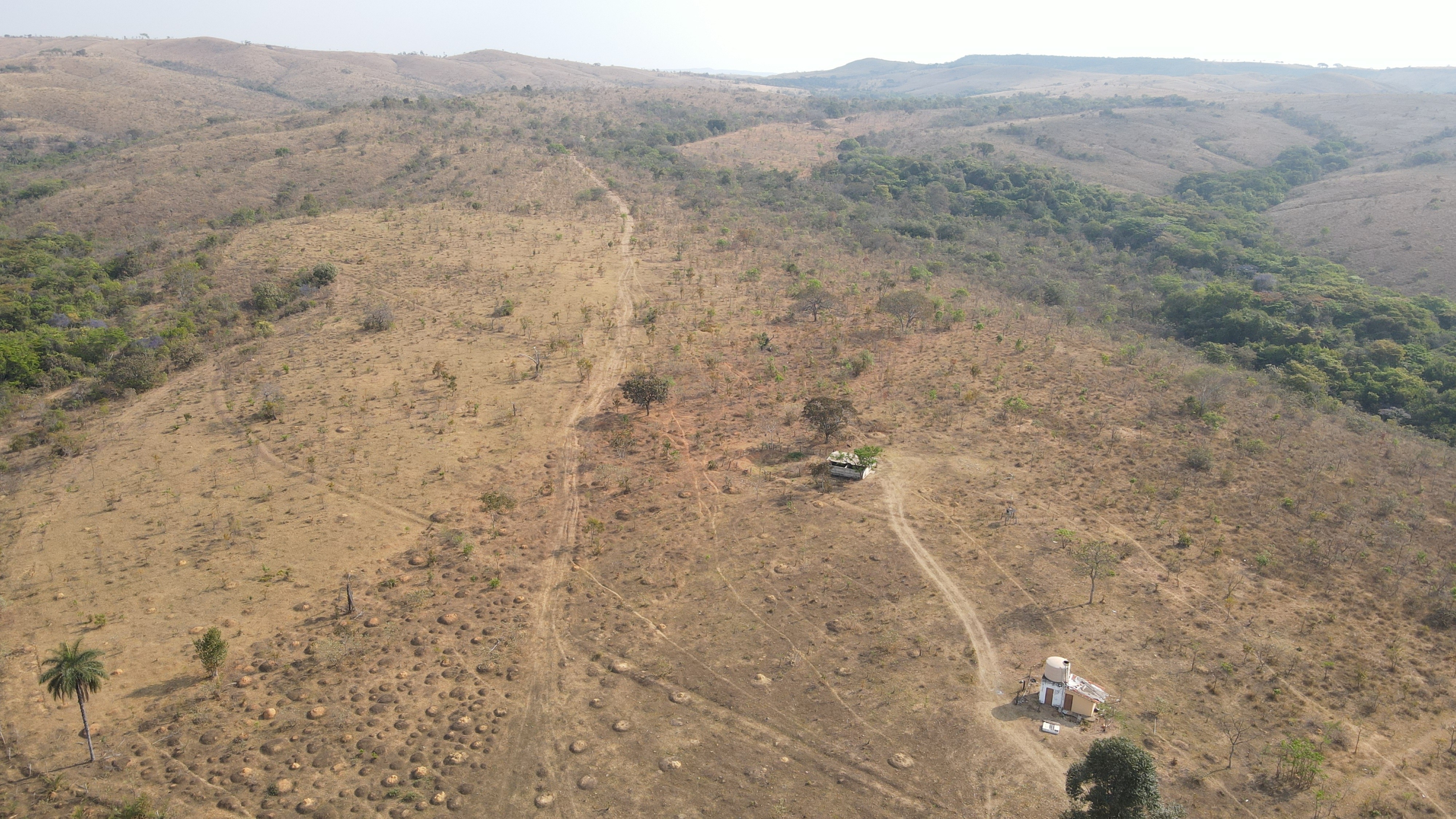 Fazenda Para Investimento Entre Coromandel E Patrocínio/Mg