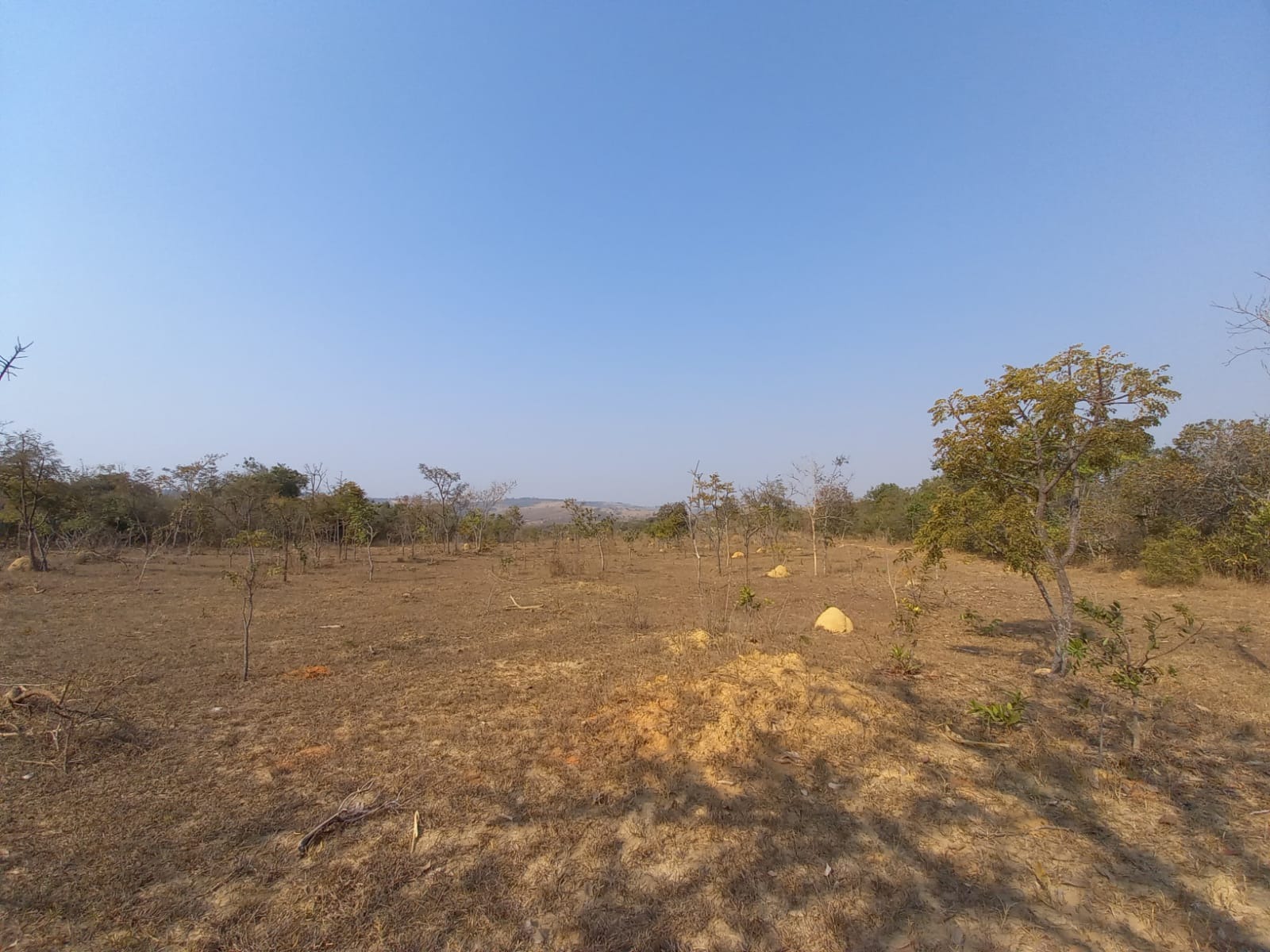 Fazenda Para Investimento Entre Coromandel E Patrocínio/Mg