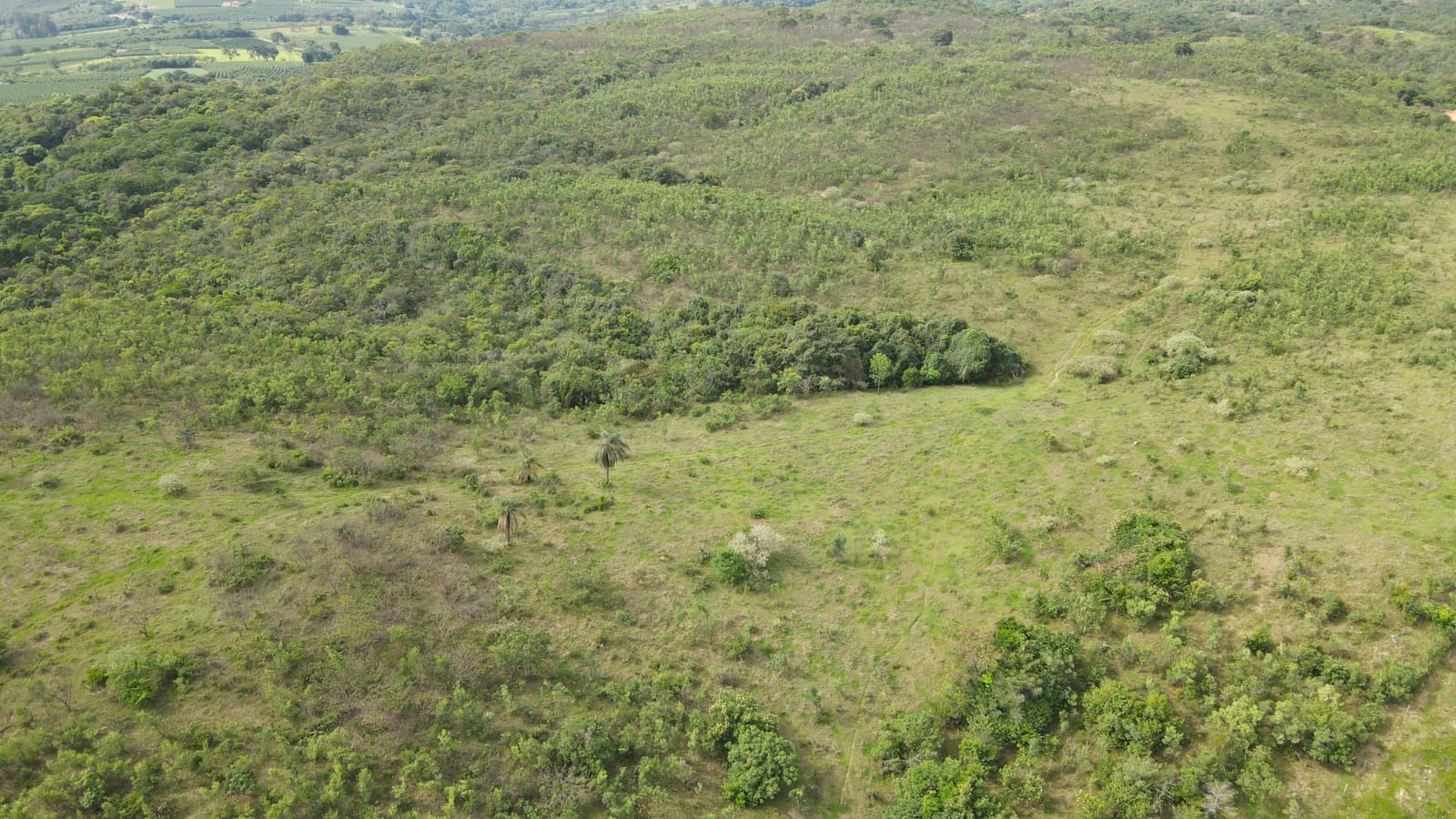FAZENDA em CHAPADÃO DE FERRO, PATROCÍNIO - FA00158