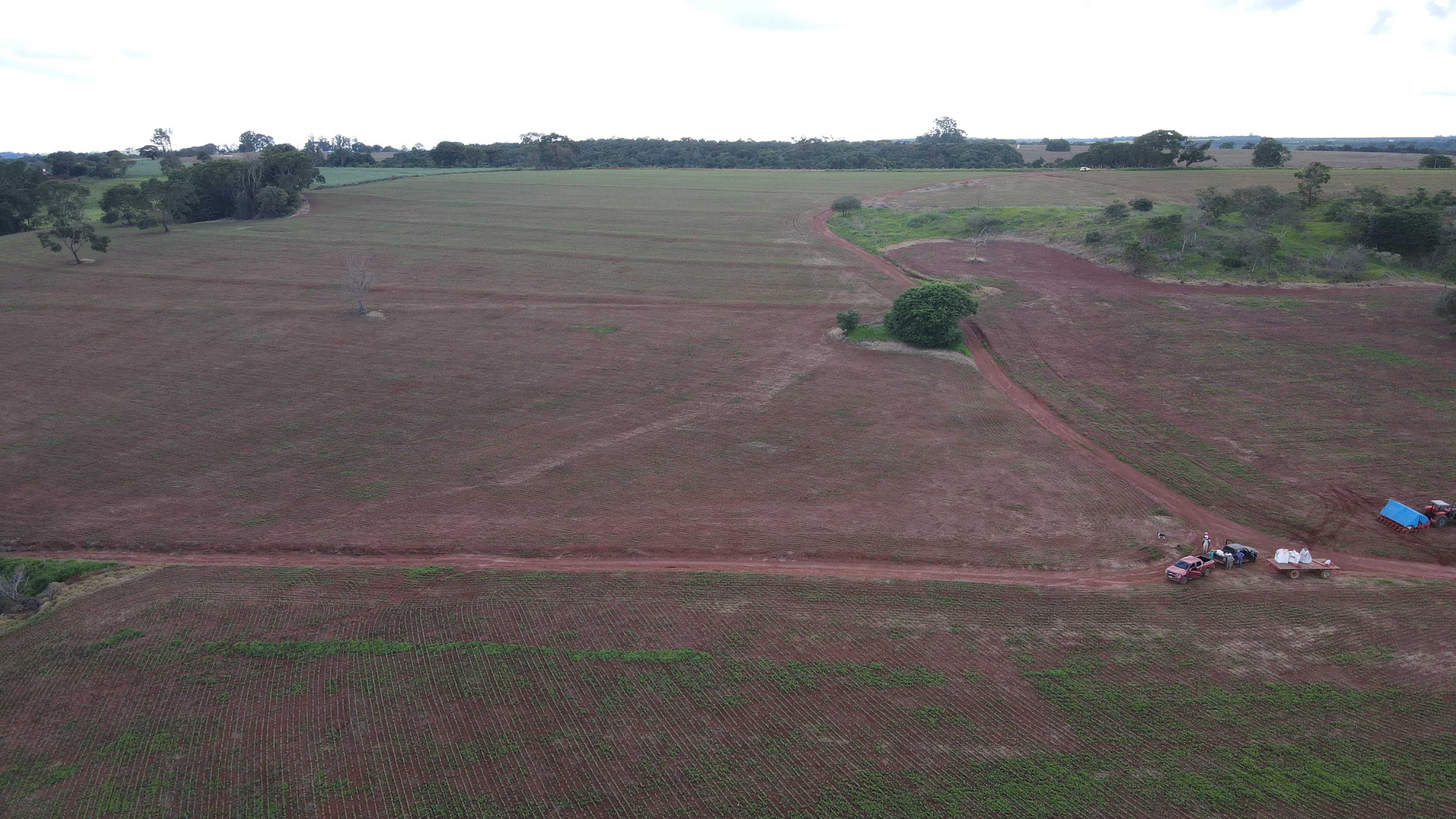 FAZENDA em PANTANO, PATOS DE MINAS - FA00166