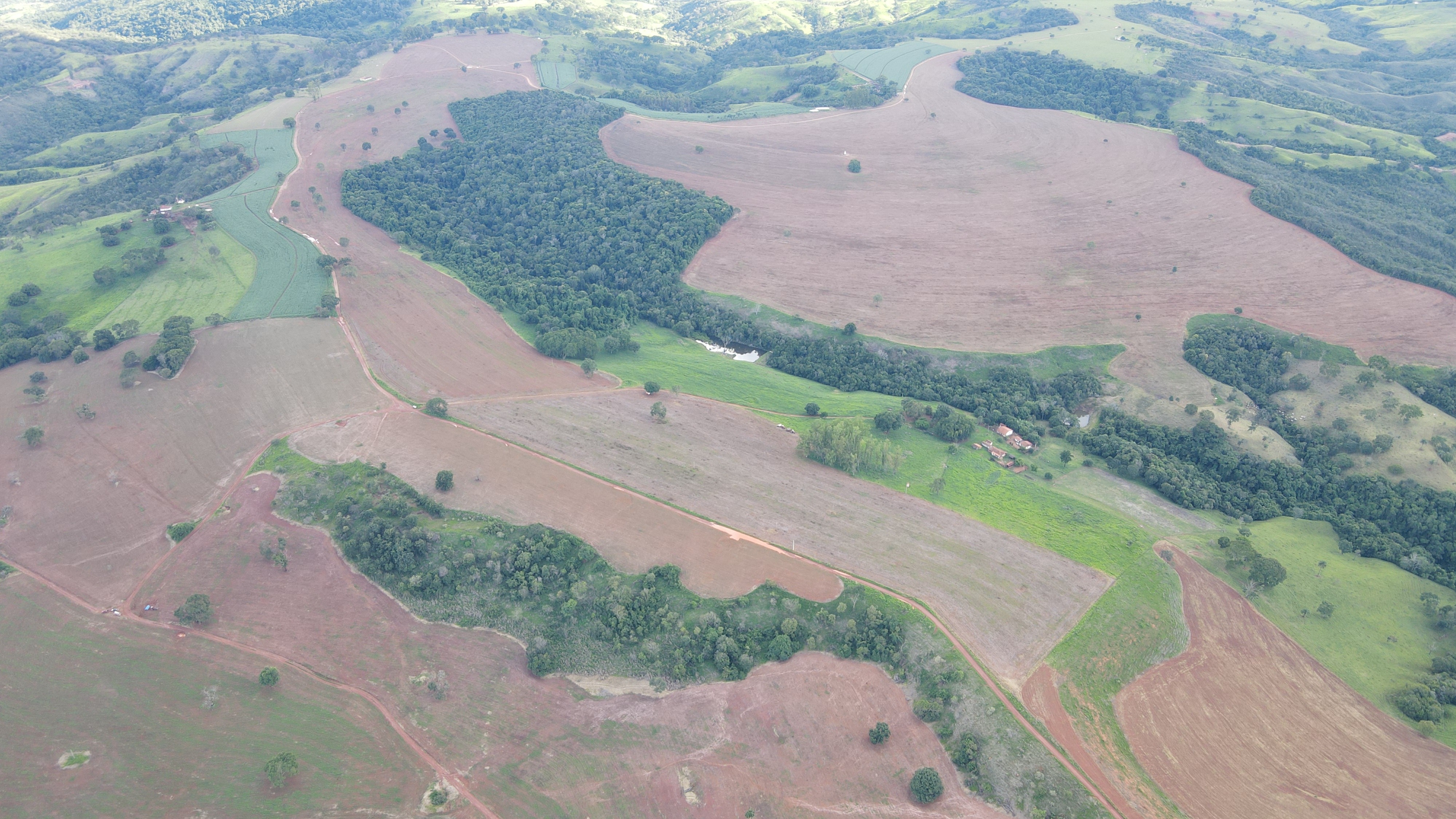 FAZENDA em PANTANO, PATOS DE MINAS - FA00166