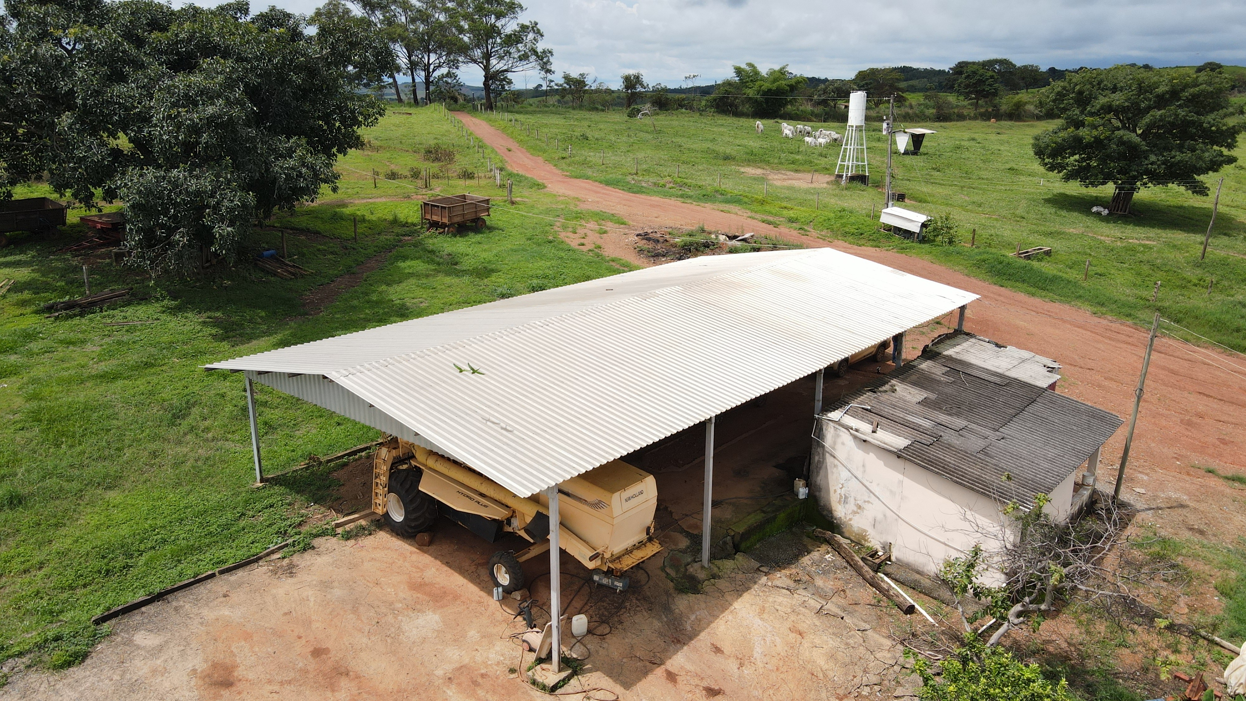 FAZENDA em PANTANO, PATOS DE MINAS - FA00167