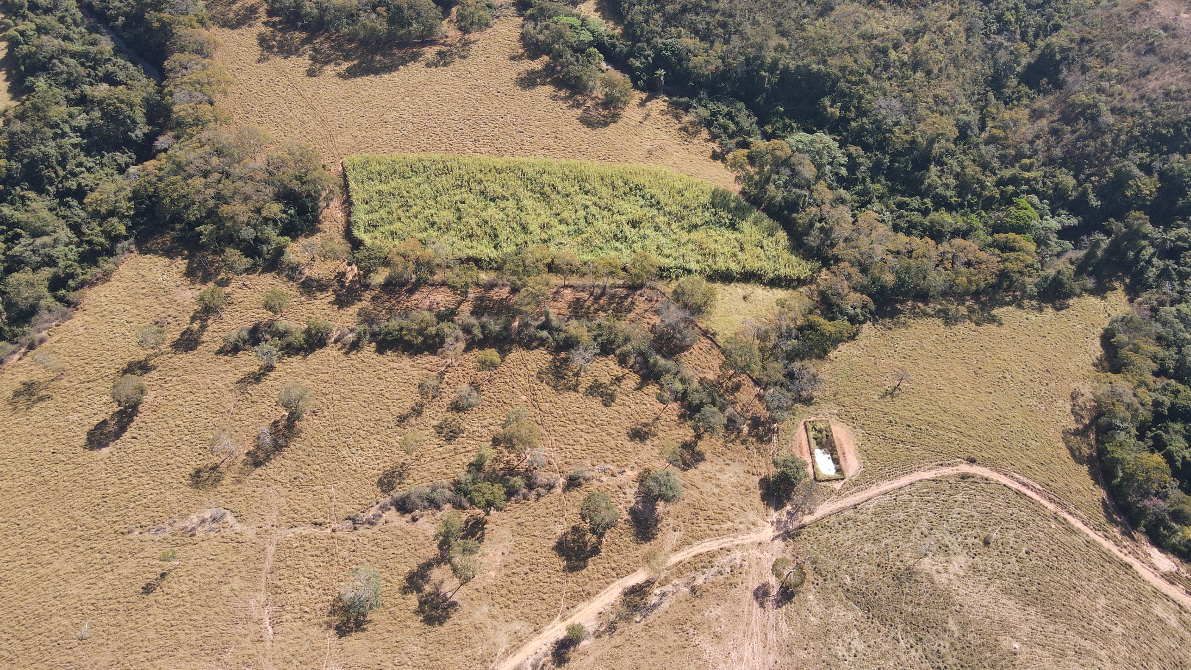 FAZENDA em PANTANO, PATOS DE MINAS - FA00190