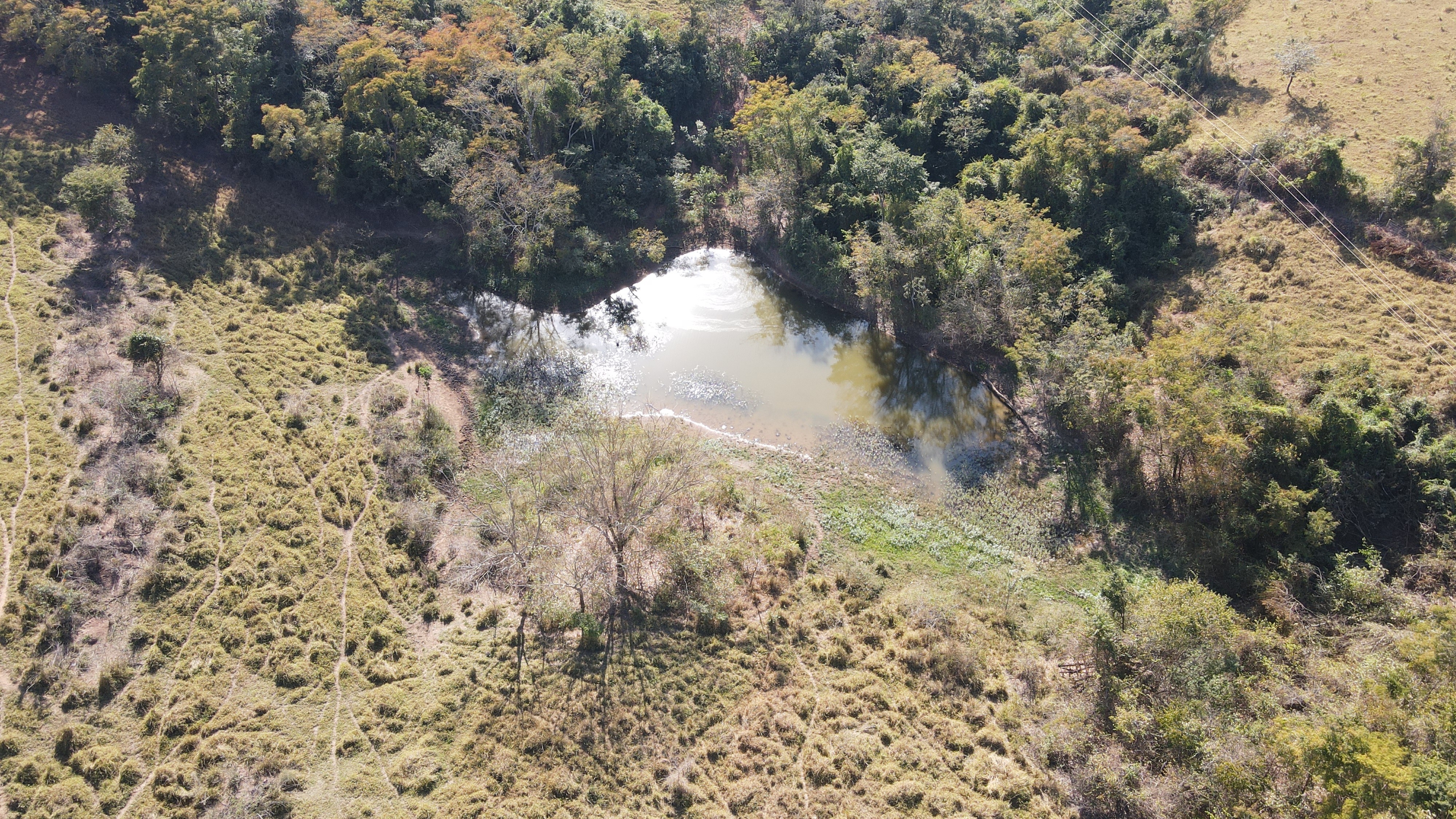 FAZENDA em PANTANO, PATOS DE MINAS - FA00190
