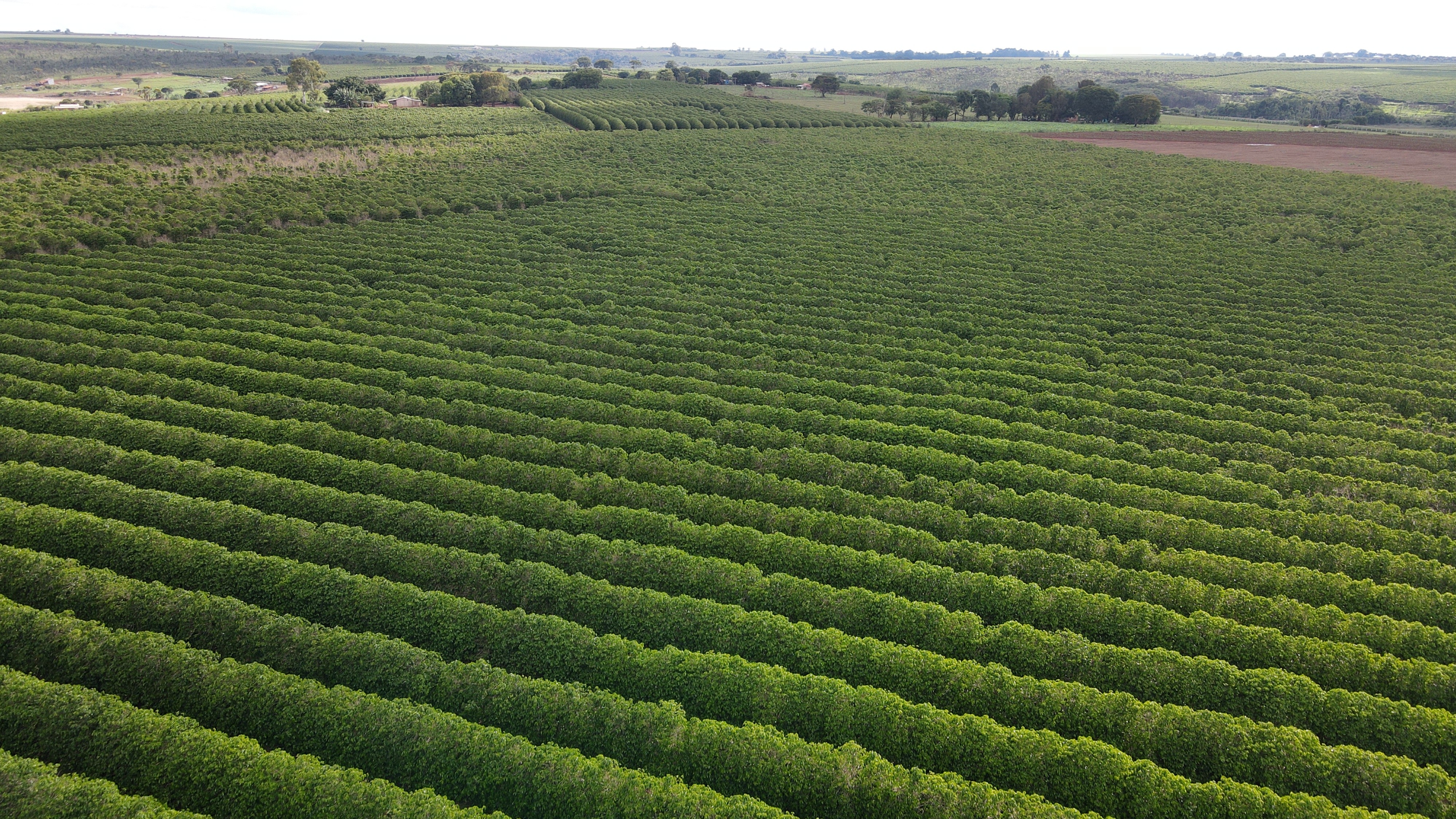 FAZENDA em CHAPADÃO DE FERRO, PATROCÍNIO - FA00181