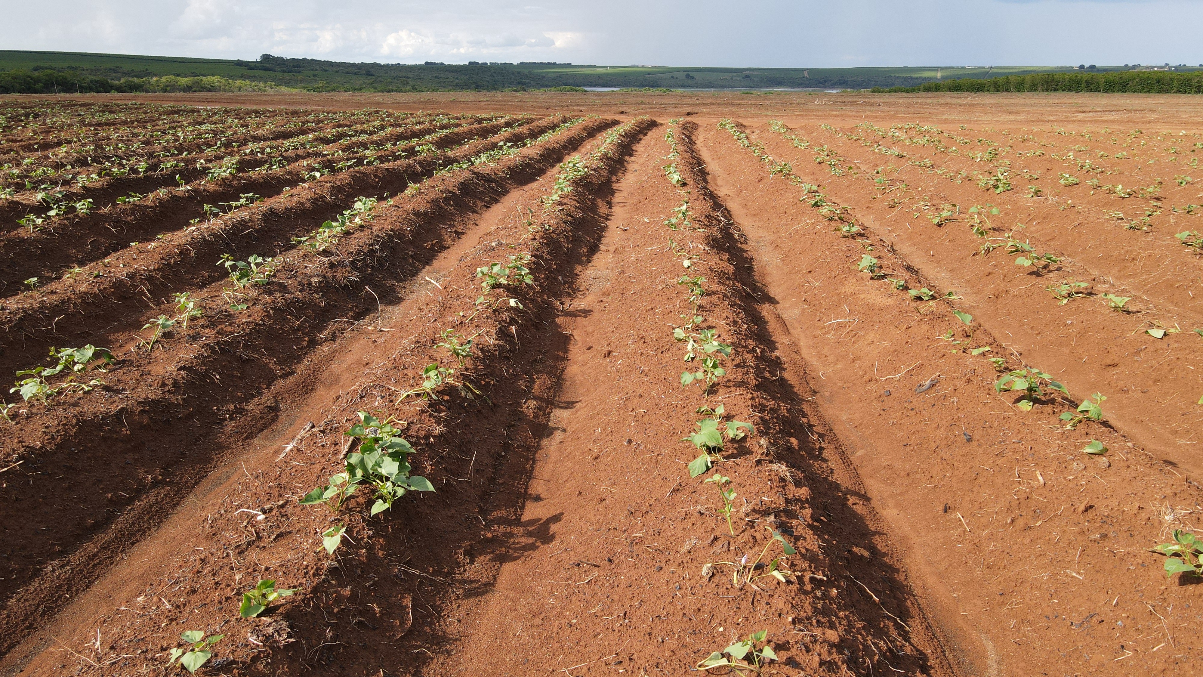 FAZENDA em CHAPADÃO DE FERRO, PATROCÍNIO - FA00181