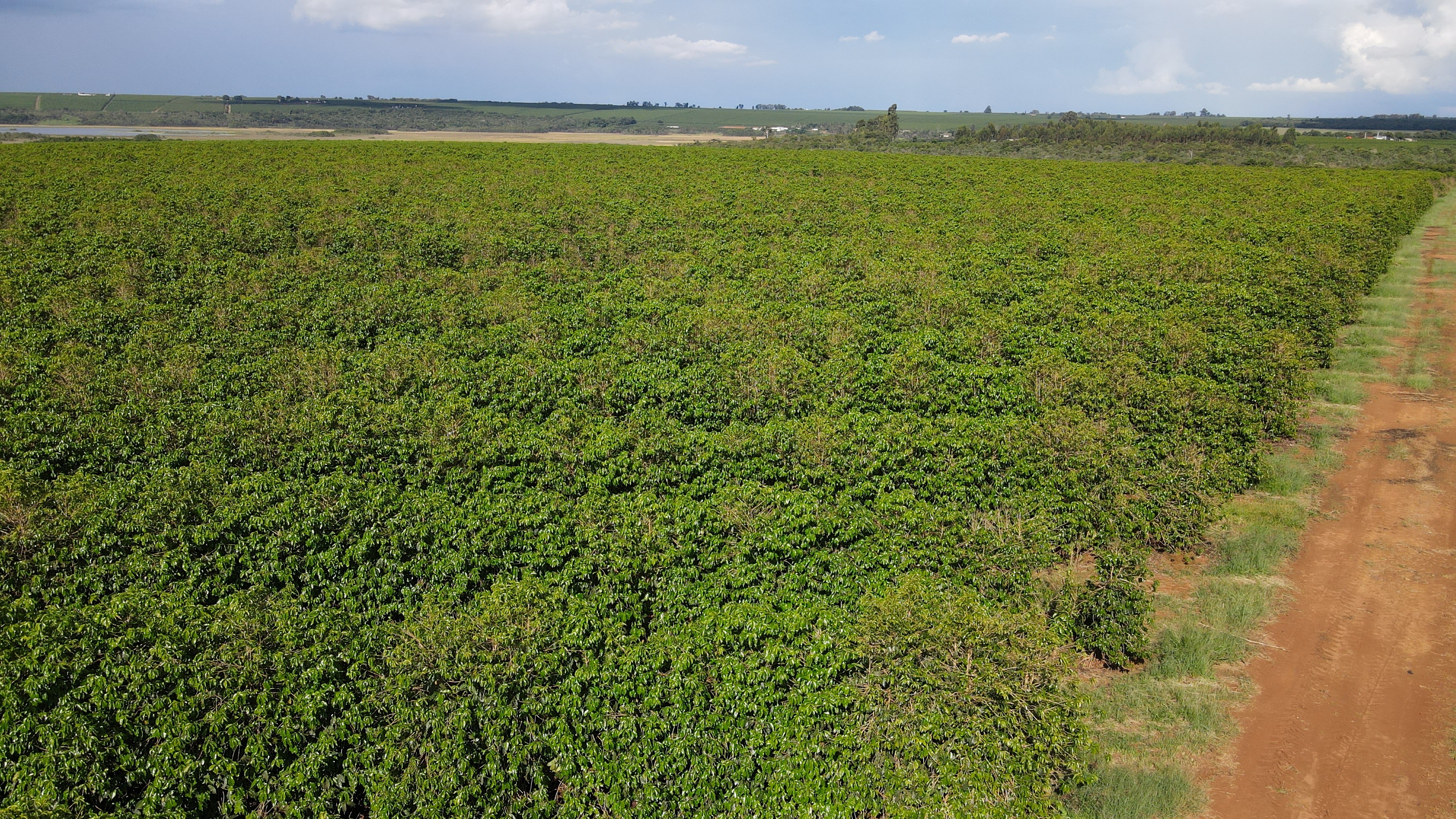 FAZENDA em CHAPADÃO DE FERRO, PATROCÍNIO - FA00181